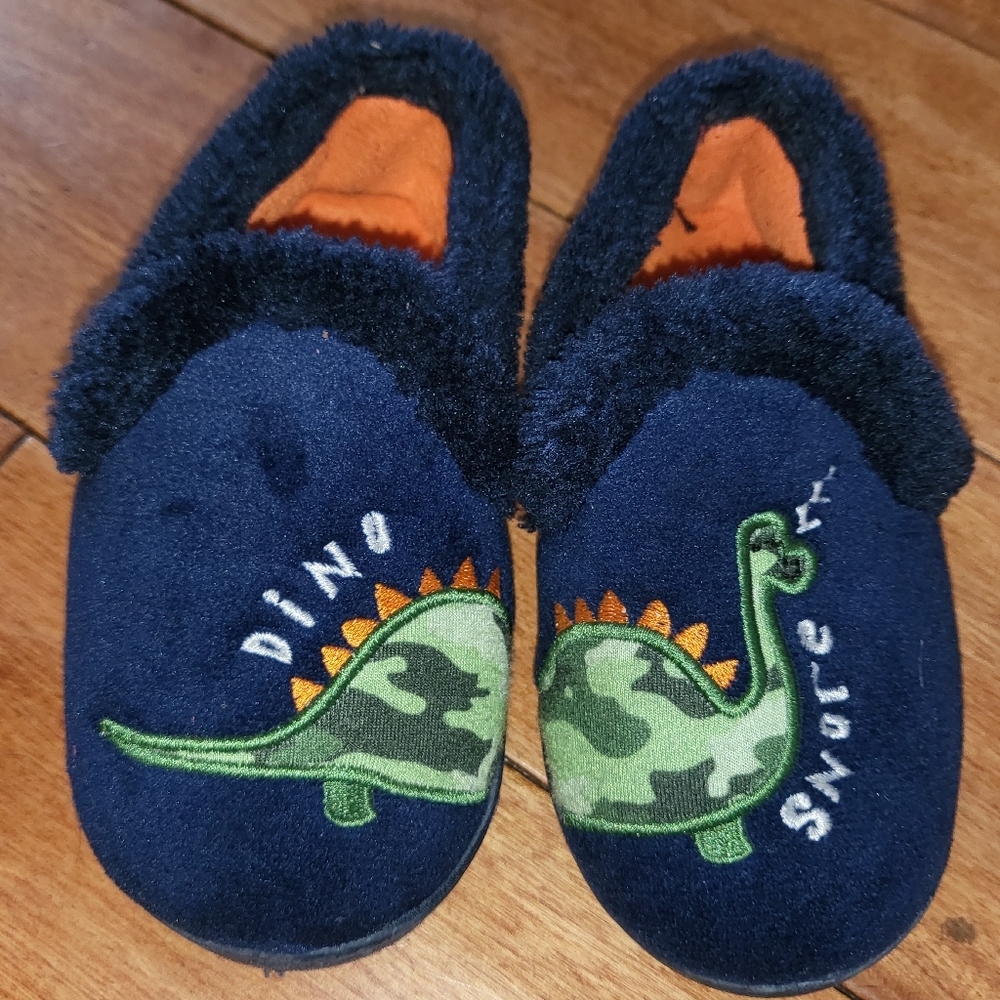 Dinosaur slippers